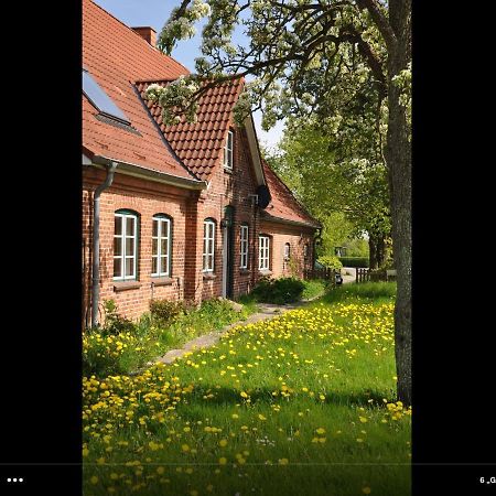 Landhaus Hohenfelde Hohenfelde  Buitenkant foto